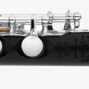 Haynes Amadeus Piccolo AP46-W